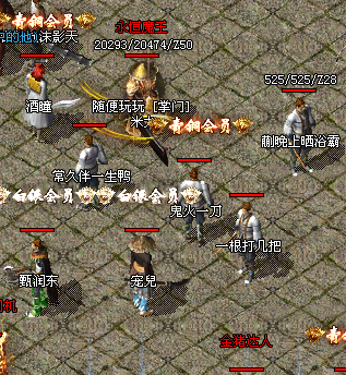 金猪神技觉醒传奇私服